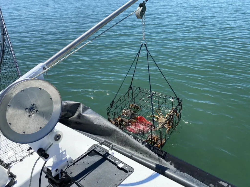 Crab pot being hauled up beside a Surveyor 16