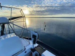 Sunrise over calm water from the deck of a Surveyor 16