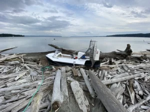 Surveyor 16 with windshield among driftwood on a beach