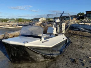 Surveyor 16 with windshield on a beach